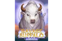 Savage Buffalo Spirits