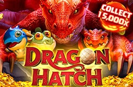 dragonhatch